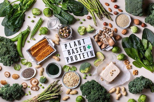 Why Plant-Based Protein is So Important