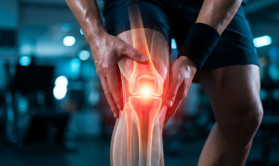 thlete holding a painful knee with highlighted joint inflammation.